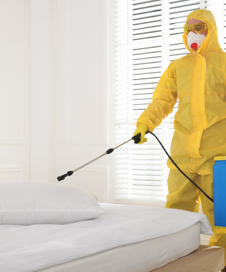 Professional Pest Control Team in Uraidla